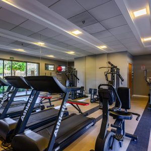 2024_09_25-SQN_211_I_610-1183